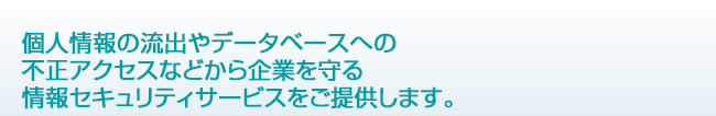 個人情報の流出やデーターベースへの不正アクセスなどから企業を守る情報セキュリティサービスをご提供します。