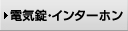 �d�C���E�C���^�[�z���i�F�؃V�X�e���E�h�A�z���j