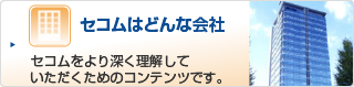 �Z�R���͂ǂ�ȉ��