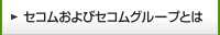 セコムおよびセコムグループとは