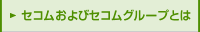 �Z�R������уZ�R���O���[�v�Ƃ�