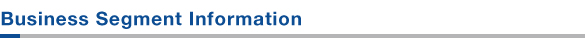 Business Segment Information