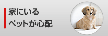 �Ƃɂ���y�b�g���S�z