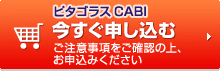 �s�^�S���XCABI �������\������ �����ӎ��������m�F�̏�A���\���݂�������