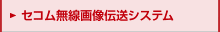 �Z�R�������摜�`���V�X�e��