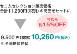 セコムセレクション販売価格合計11,854円(税込)のところご提供価格10,500円(税込)今なら更に5%OFF。提供価格9,975円(税込)