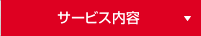 サービス内容
