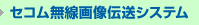 �Z�R�������摜�`���V�X�e��