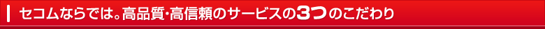 �Z�R���Ȃ�ł́B���i���E���M���̃T�[�r�X��4�̂������