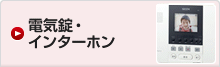 �d�C���E�C���^�[�z��