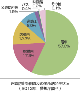 迷惑防止条例違反の場所別発生状況（2013年 警視庁調べ）