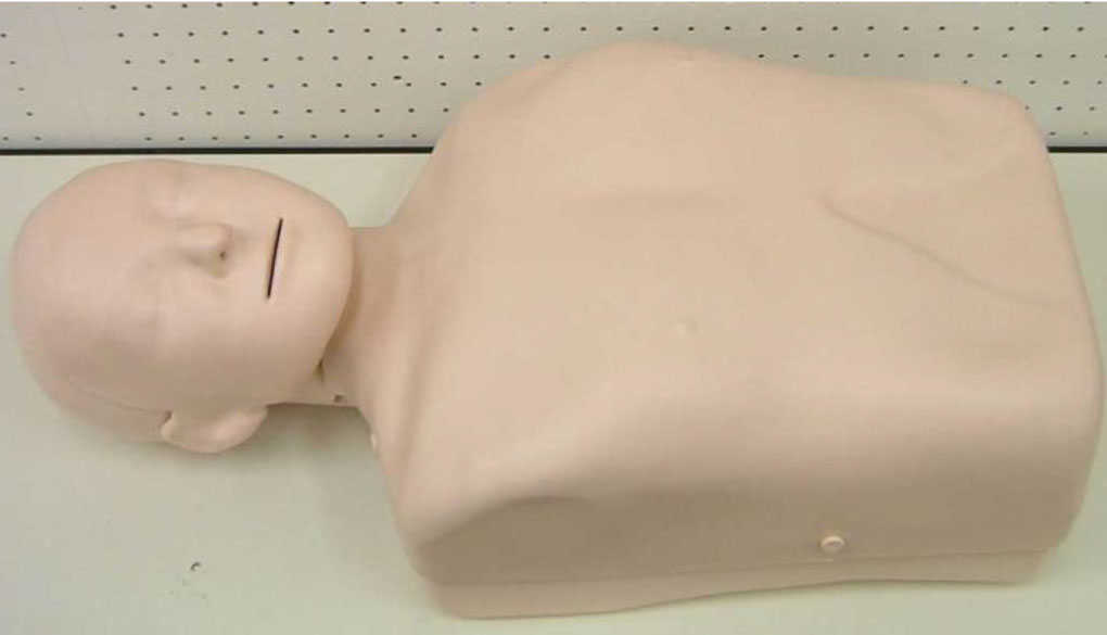 写真：AED訓練用人体模型（上半身型）