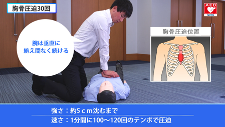 心肺蘇生とAEDの使用手順（５）胸骨圧迫