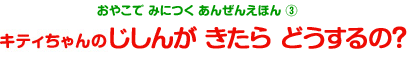 おやこで みにつく あんぜんえほん（3）　キティちゃんのじしんが きたら どうするの？