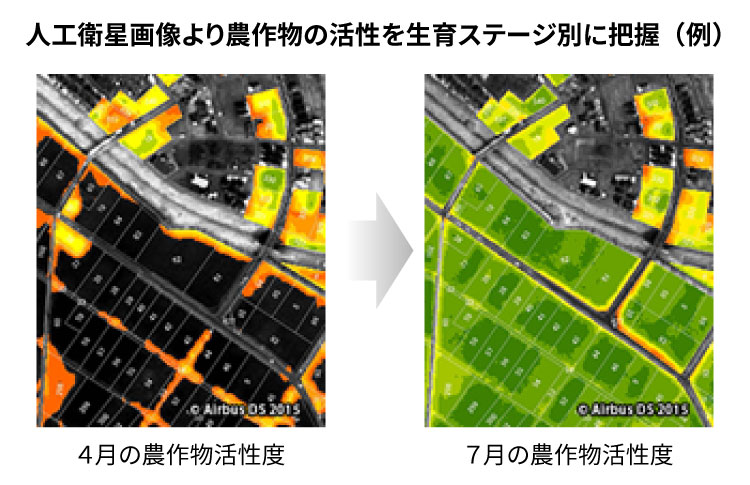 写真：(公財)オイスカ「海岸林再生プロジェクト」に参加する社員ボランティア