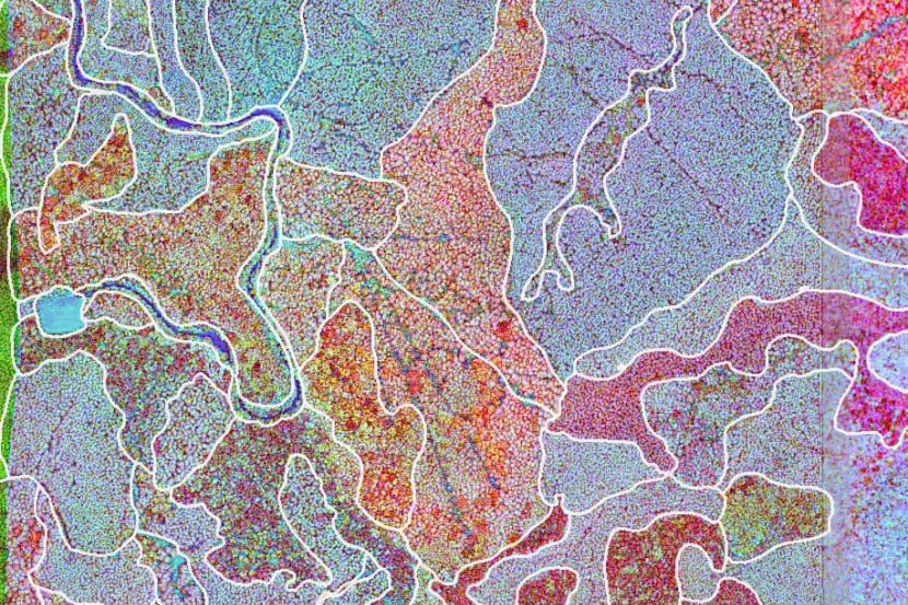 画像:最新の航空レーザーデータで森林境界を視覚化