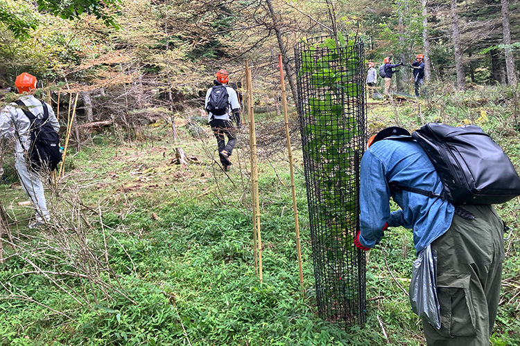 写真：獣害対策ネットの補修・回収や除伐作業をしている様子