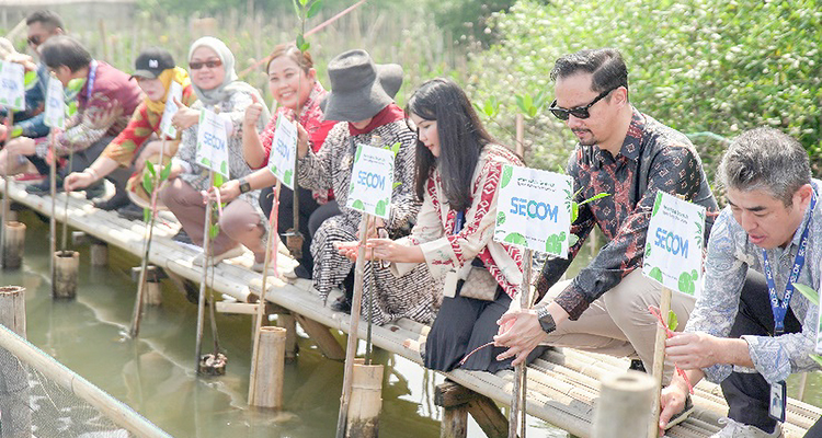 写真:セコムインドネシアグループ主催のマングローブ植林活動の様子