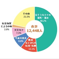 2017年 家庭内での不慮の事故による死亡者数（厚生労働省 人口動態統計年報抜粋）