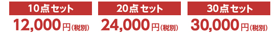 10点セット12,000円(税別)20点セット24,000円(税別)※30点セット30,000円(税別)※