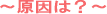 ～原因は？～