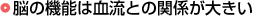 脳の機能は血流との関係が大きい