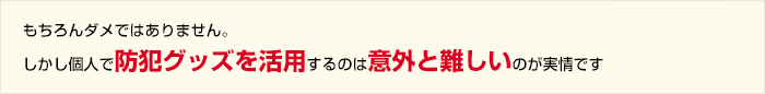 もちろんダメではありません。しかし個人で防犯グッズを活用するのは意外と難しいのが実情です
