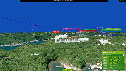 Simulation of the view from mal planes