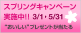 ココセコム「スプリングキャンペーン」