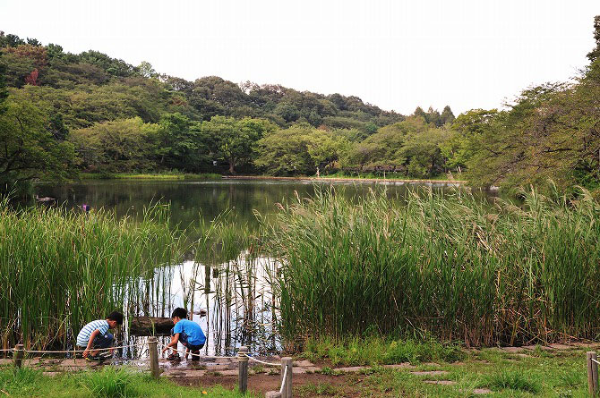 セコム｜子どもの水難事故が多発！川や海で命を守る方法｜子どもの安全