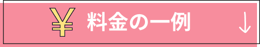 料金の一例