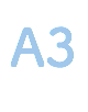 A3