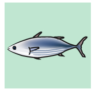 魚(カツオ、マグロ、イワシなど)
