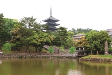 猿沢池から見る興福寺の五重塔