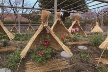 筥崎宮神苑花庭園