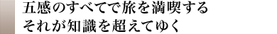 五感のすべてで旅を満喫する それが知識を超えてゆく