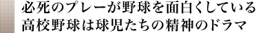 必死のプレーが野球を面白くしている高校野球は球児たちの精神のドラマ